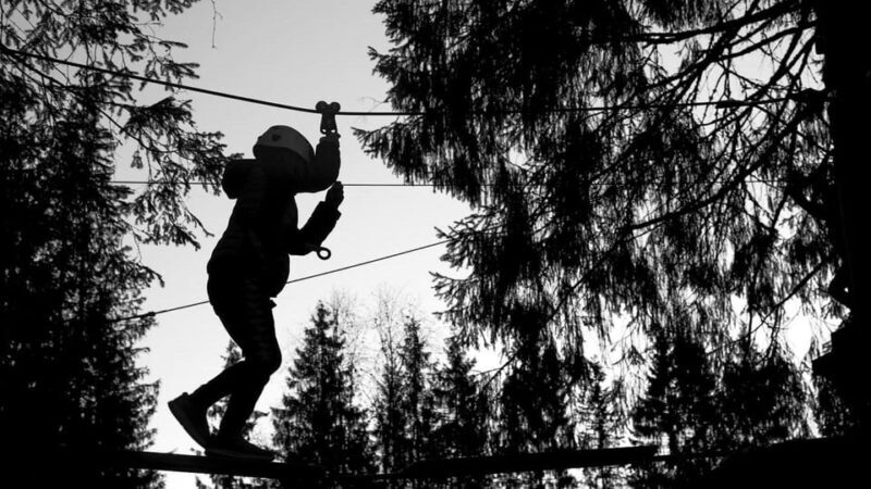 Voss High Rope & Zipline Park - Who Will Love This Experience?