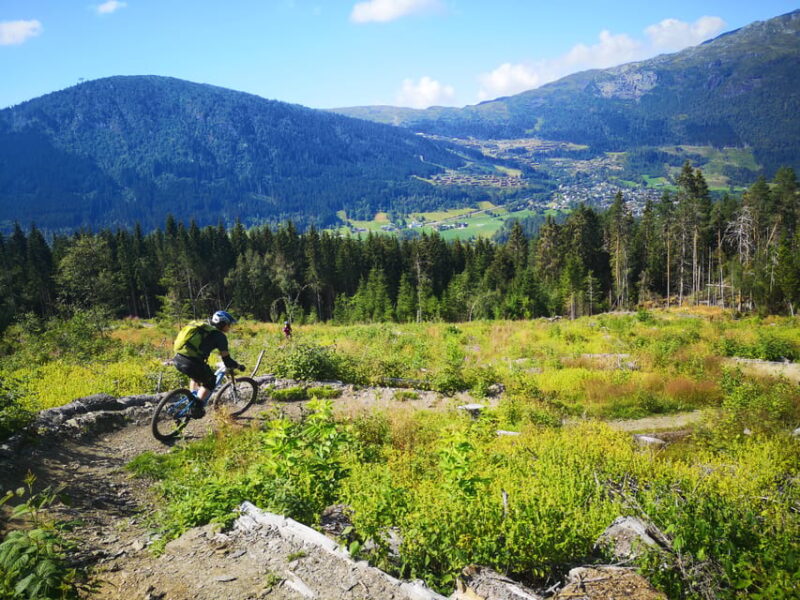 Voss - Mountain Bike – Bømoem Forest - Tour Highlights
