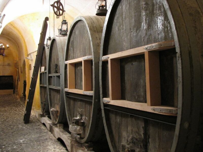 Vothonas: Wine Museum Ticket with Tastings and Audio Guide - Final Word