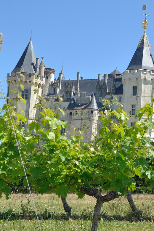 Vouvray Wine Half-Day Tour From Tours - Important Information