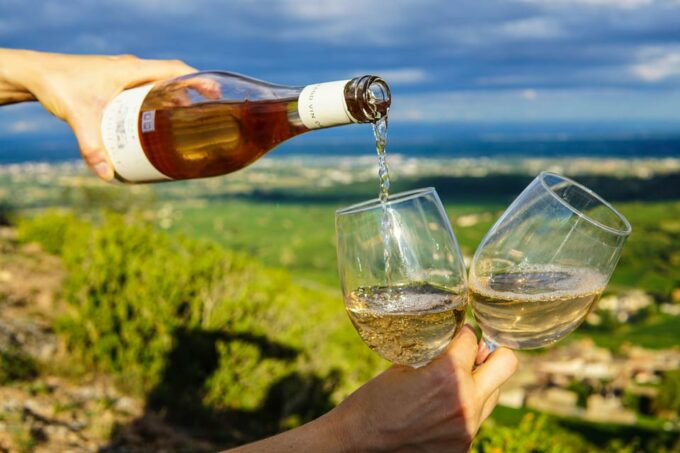 Vouvray Wine Half-Day Tour From Tours - Customer Reviews and Ratings