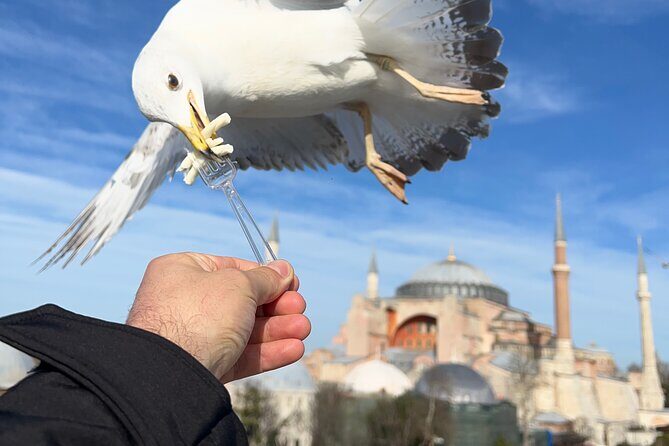 Voyager of Istanbul Top Landmark Tour - FAQs