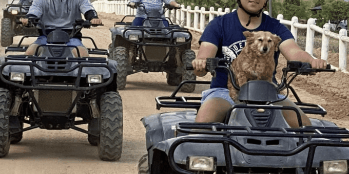 Vrede En Lust Wine Estate: 1H Quad Bike Trail - The Sum Up