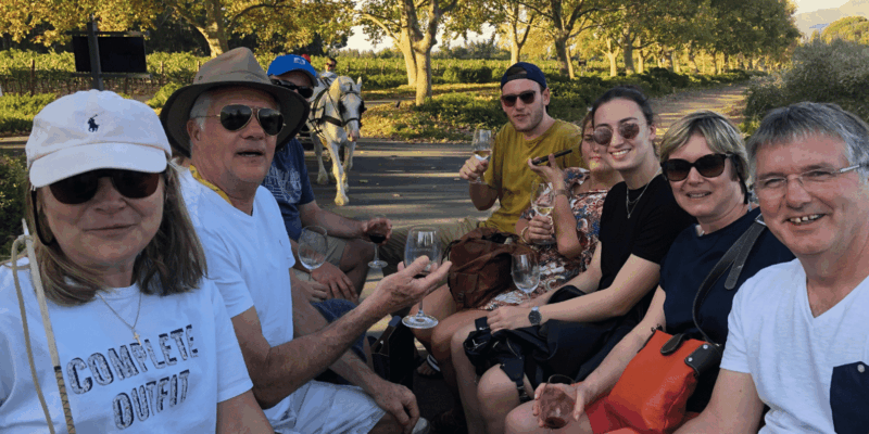 Vrede En Lust Wine Estate: 1H30M Carriage Ride & Wine Taste - Wine Tasting Experience