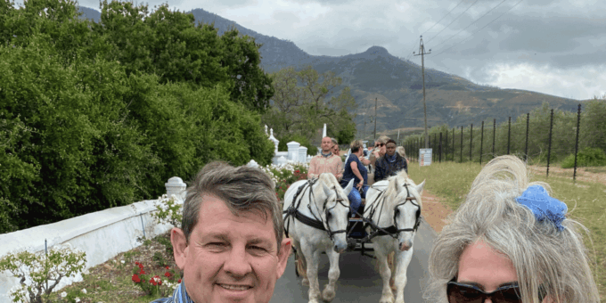 Vrede En Lust Wine Estate: 2-Hour Champagne Carriage Trail - The Sum Up