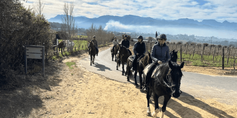 Vrede En Lust Wine Estate: 2H Horse Trail - Good To Know