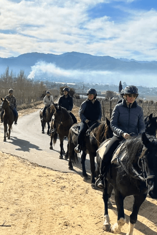 Vrede En Lust Wine Estate: 2H Horse Trail - Experience Highlights