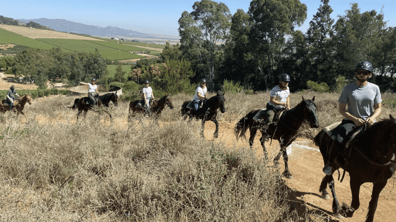 Vrede En Lust Wine Estate: 2H Horse Trail - Booking Details