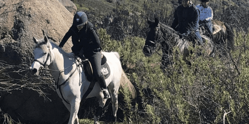 Vrede En Lust Wine Estate: 2H Horse Trail - What to Bring