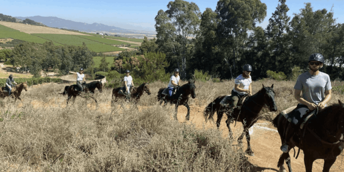 Vrede En Lust Wine Estate: 2H Horse Trail - Rider Safety
