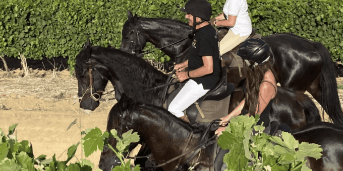 Vrede En Lust Wine Estate: 2H Horse Trail - Frequently Asked Questions