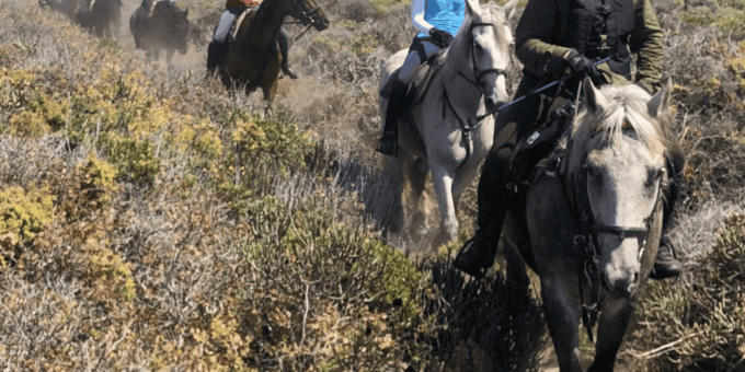 Vrede En Lust Wine Estate: 2H Horse Trail - The Sum Up