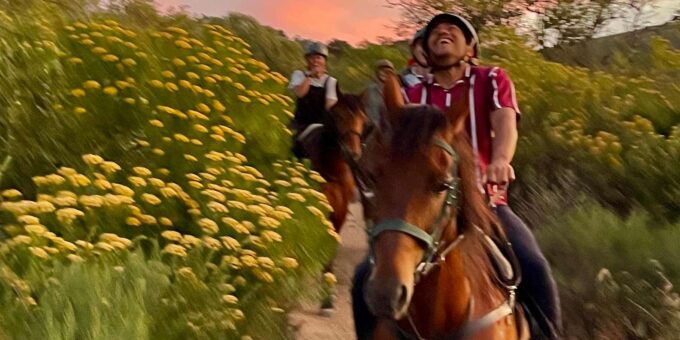 Vrede En Lust Wine Estate:1-Hour Horseback Riding Experience - The Sum Up