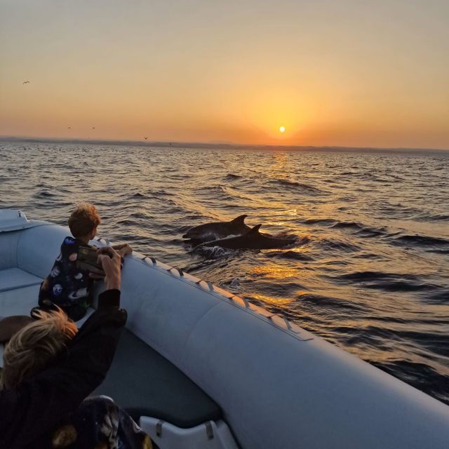 Vrsar: Dolphin Sunrise Adventure with Speedboat - The Sum Up