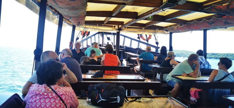 Vrsar: Dolphin Watching Boat Ride - The Value of the Experience