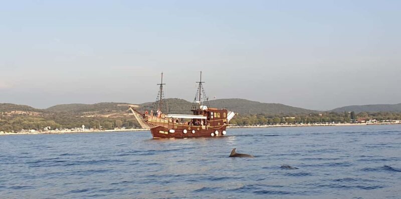 Vrsar: Dolphin Watching Boat Ride - Authentic Feedback from Travelers