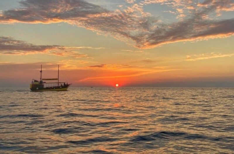 Vrsar: Dolphin Watching Boat Tour including Drinks - The Underwater World and Snorkeling Opportunities