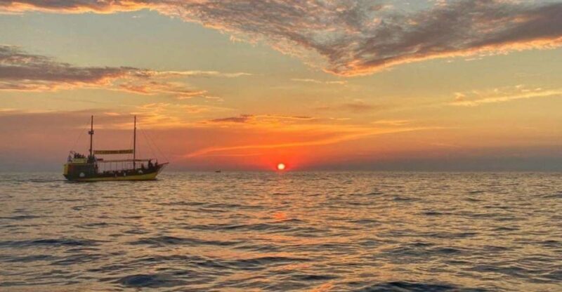 Vrsar: Dolphin Watching Boat Tour including Drinks - Returning to Vrsar and Final Impressions