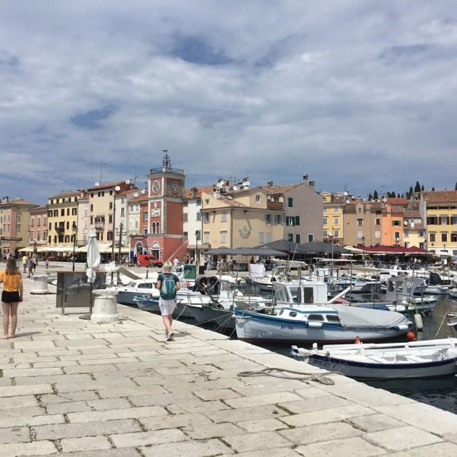 Vrsar: Lim Fjord - Rovinj Fish Picnic - Key Points