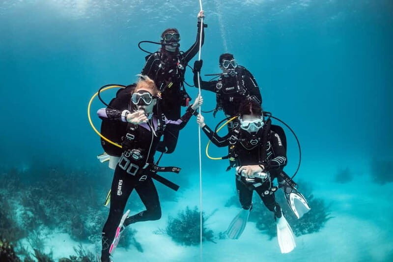 Vrsar: Start your diving experience  internationally recognized diving license - Key Points