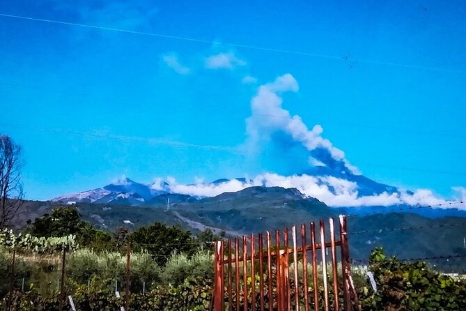 Vulcan Etna Panoramic Drive in a Convertible, Day Trip With a Tour Guide - Accessibility Features