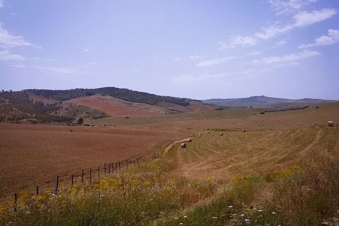 Vulcan Etna Panoramic Drive in a Convertible, Day Trip With a Tour Guide - What to Expect