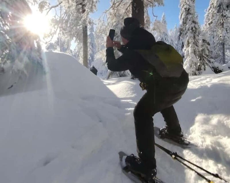 Vuokatti: Snowshoeing Adventure in the Forest - Key Points