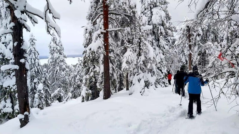Vuokatti: Snowshoeing Adventure in the Forest - What to Expect from the Tour