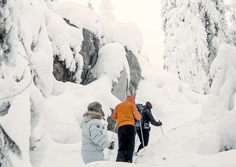Vuokatti: Snowshoeing Adventure in the Forest - Value and Practicalities