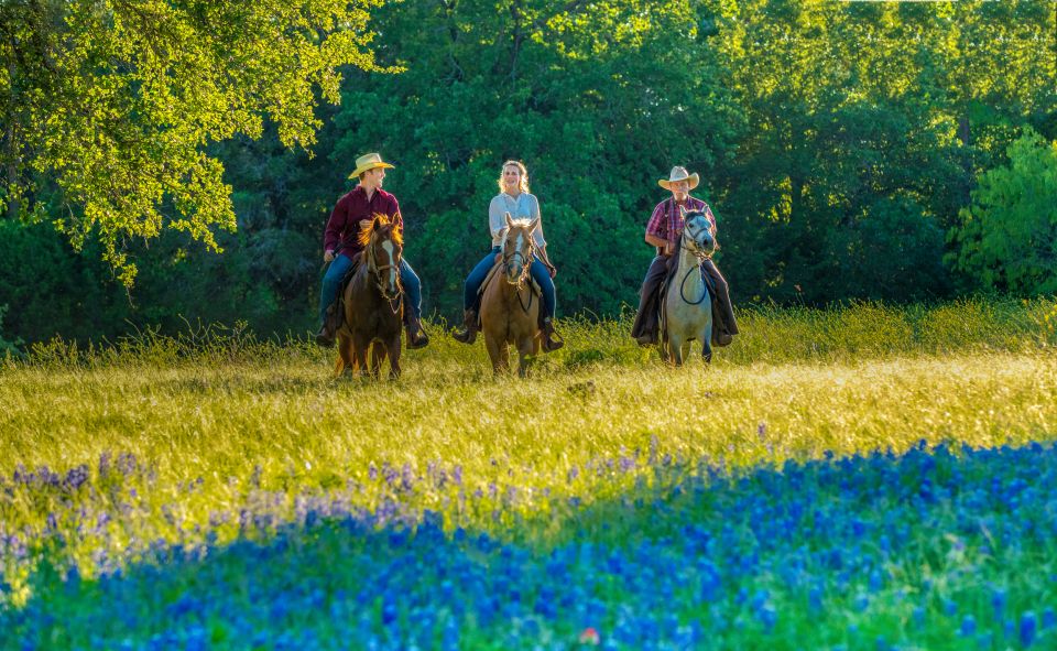 Waco: Horseback Riding Tour With Cowboy Guide - Suitable Skill Levels