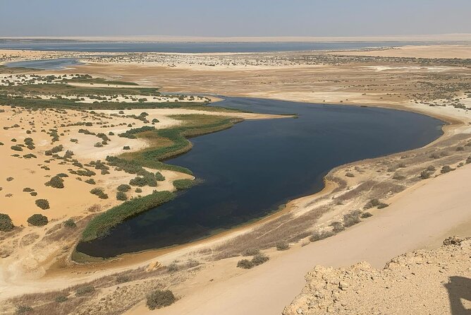Wadi Al Hitan Day Trip From Cairo - Good To Know