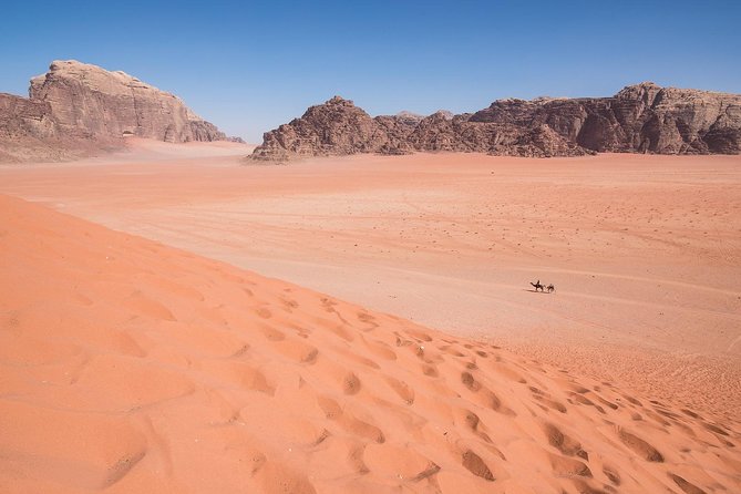 Wadi Rum: 4 Hour Highlights Tour - Health and Safety Considerations
