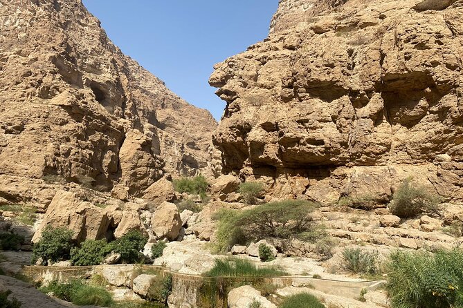 Wadi Tiwi Adventure With Local Guide - Experience Ratings and Reviews