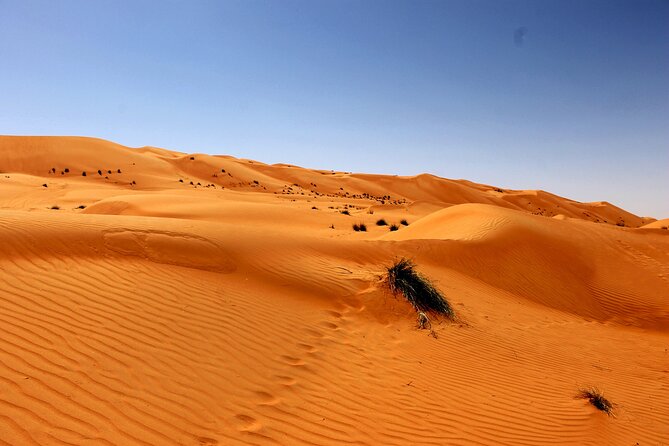Wahiba Sands and Wadi Bani Khalid Day Tour - Frequently Asked Questions