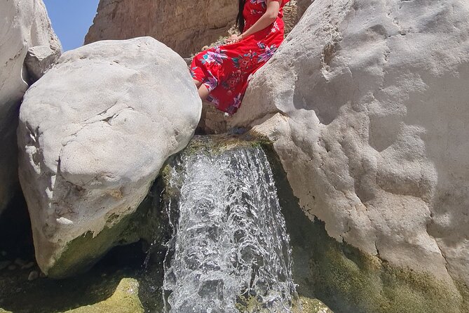 Wahiba Sands Desert and Wadi Hawar Private Tour - Whats Included