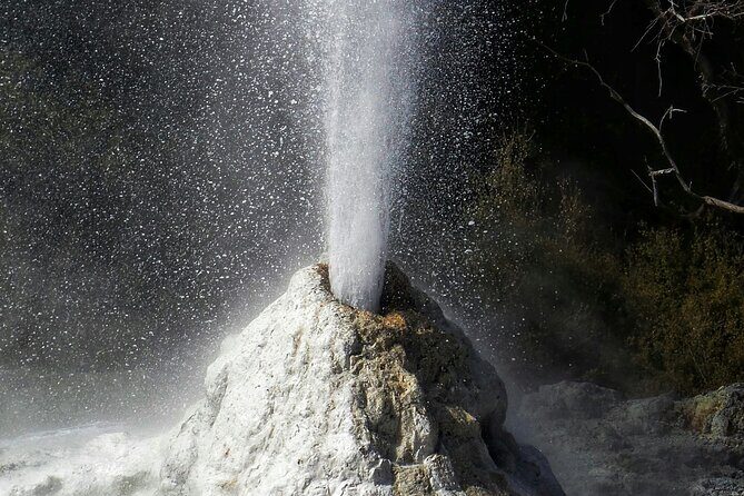 Wai O Tapu Secret spot Hot Tubs and Waitomo Glowworm Caves Tour - Final Thoughts: Who Will Love This Tour?
