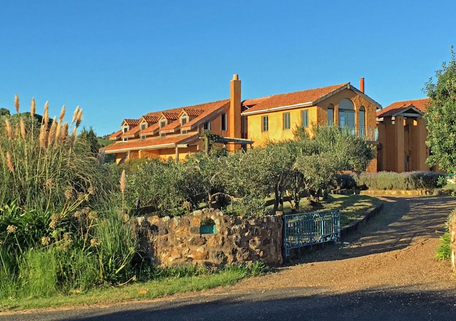 Waiheke Island: 5-Hour Guided Art Tour - Tour Details