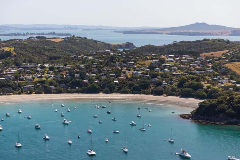 Waiheke Island: Afternoon Wine Tour with Oceanfront Lunch - Key Points