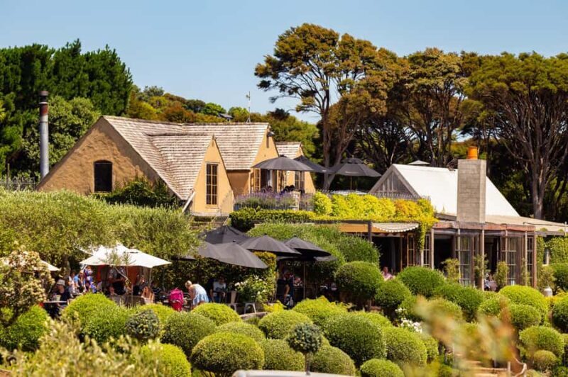 Waiheke Island: Afternoon Wine Tour with Oceanfront Lunch - The Experience of Waiheke Island