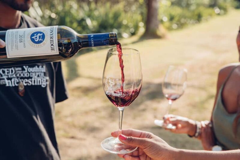 Waiheke Island: Afternoon Wine Tour with Oceanfront Lunch - The Sum Up