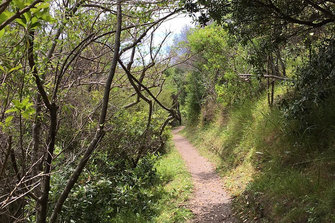 Waiheke Island Double Headland Coastal Walk - Wildlife and Nature Spotting