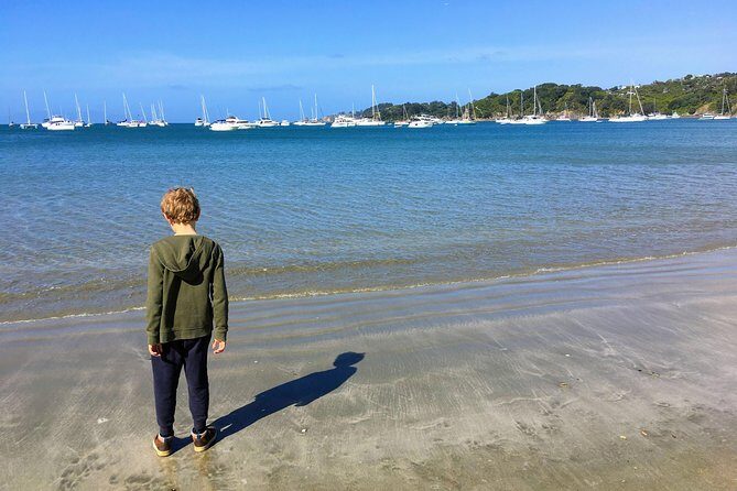 Waiheke Island Experience Tour - Who Should Consider This Tour?