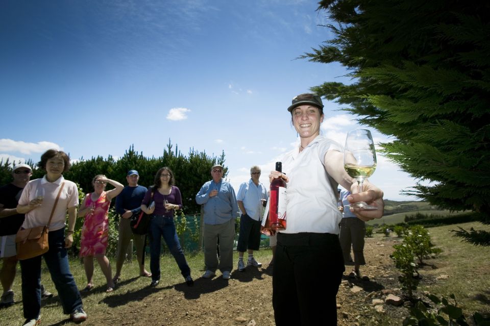 Waiheke Island: Ferry & Hop-On Hop-Off Explorer Bus Tickets - Activity Description