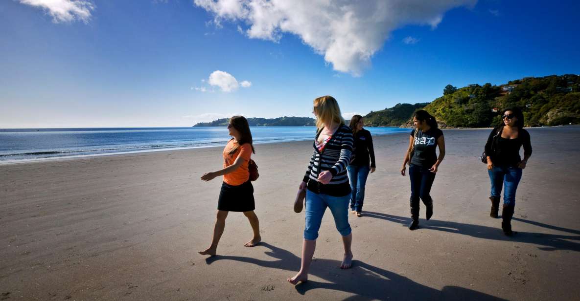 Waiheke Island: Ferry & Hop-On Hop-Off Explorer Bus Tickets - Important Information