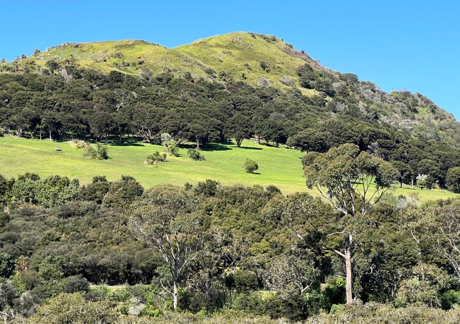 Waiheke Island: Full Day Guided History and Heritage Tour - Full Description