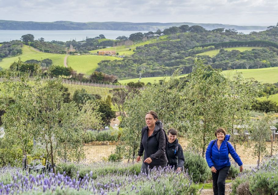 Waiheke Island: Full Day Guided History and Heritage Tour - Customer Reviews