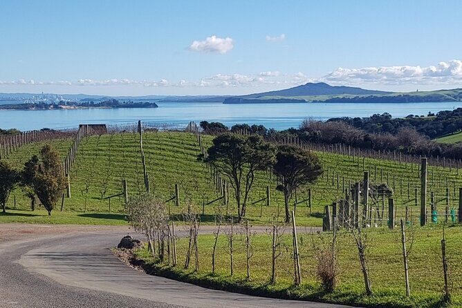 Waiheke Island Private Tours - The Sum Up