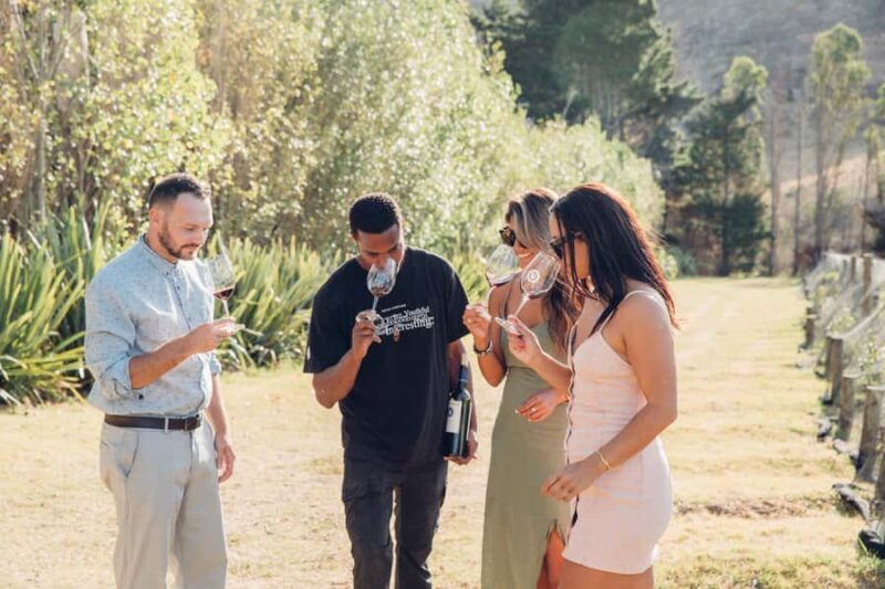 Waiheke Island: Scenic Island Wine Tour & Local Wine Tasting - Key Points