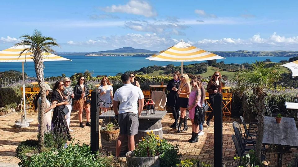 Waiheke Island: Scenic Wine Tour Tasting Wines on Waiheke - Customer Reviews and Ratings