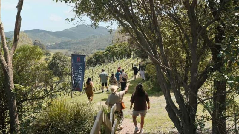 Waiheke Island: Wine, Gin, and Olive Oil Tour with Lunch - Summing It Up